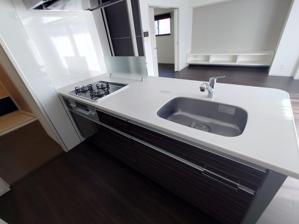 セイワパレス丸の内駅前 キッチン