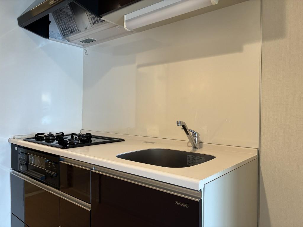 エクセレント 1 キッチン