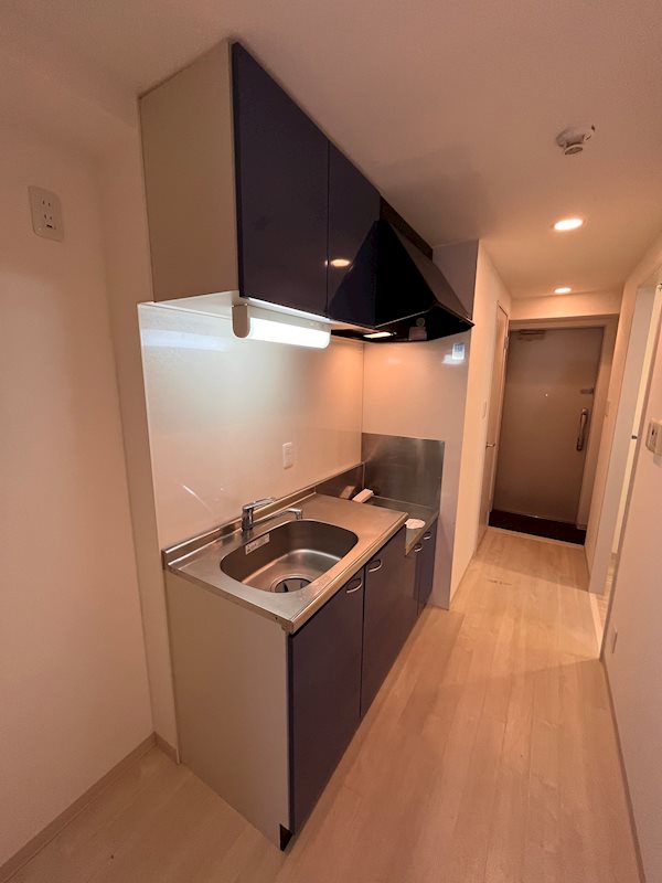 シェリール コート その他1