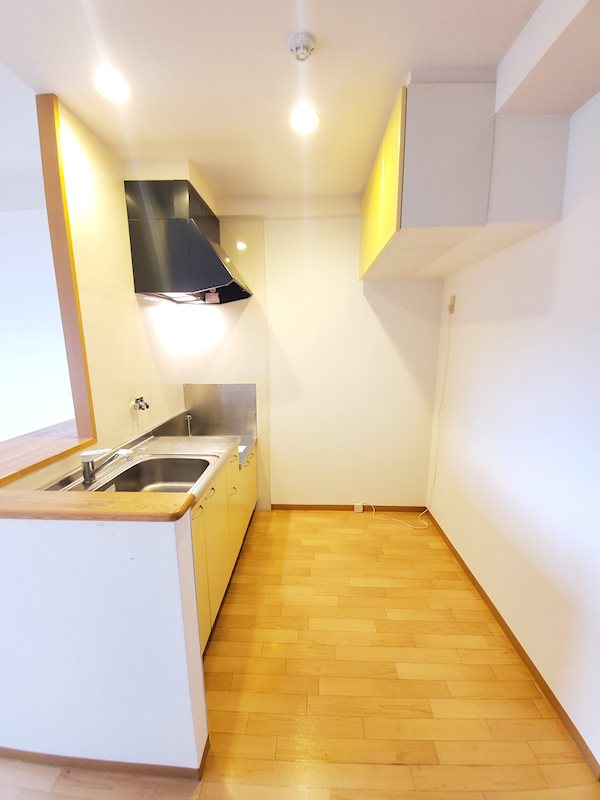 スプランドゥールヴィラ その他8