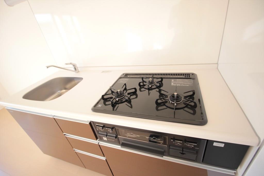 ピエールマルミットⅠ その他7