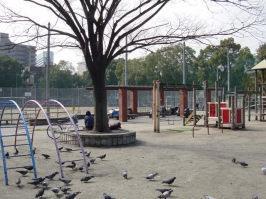 グレイス京橋 周辺画像5