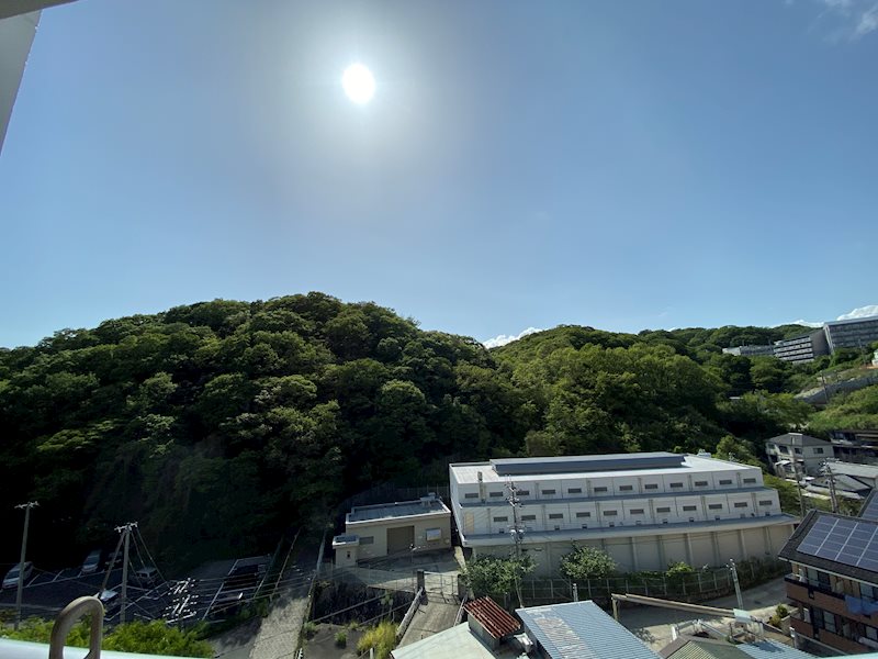 ﾂﾙﾄｽｺⅡ番館 その他5