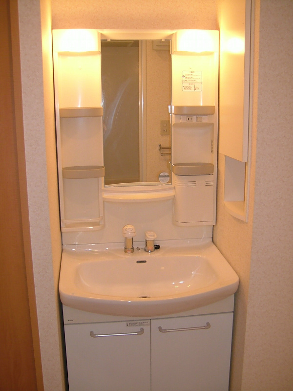 フェリシア その他5