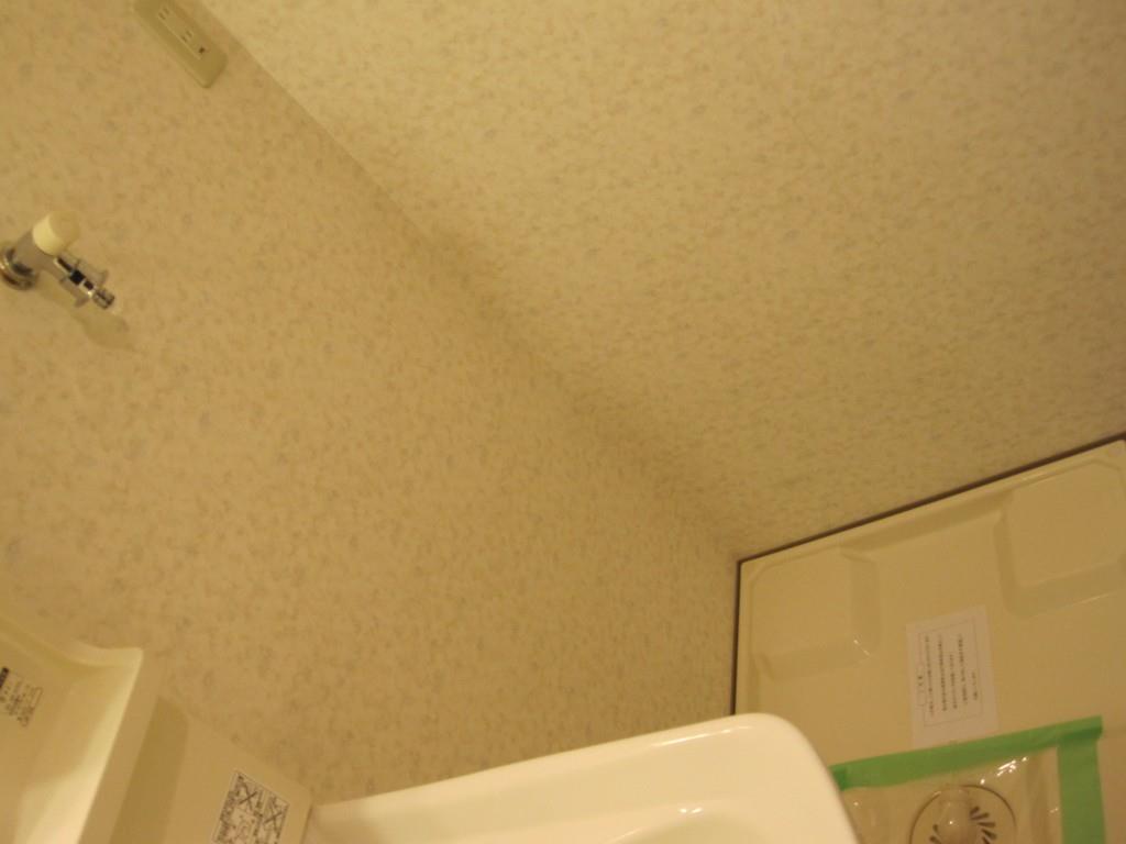 エルミタージュ その他12