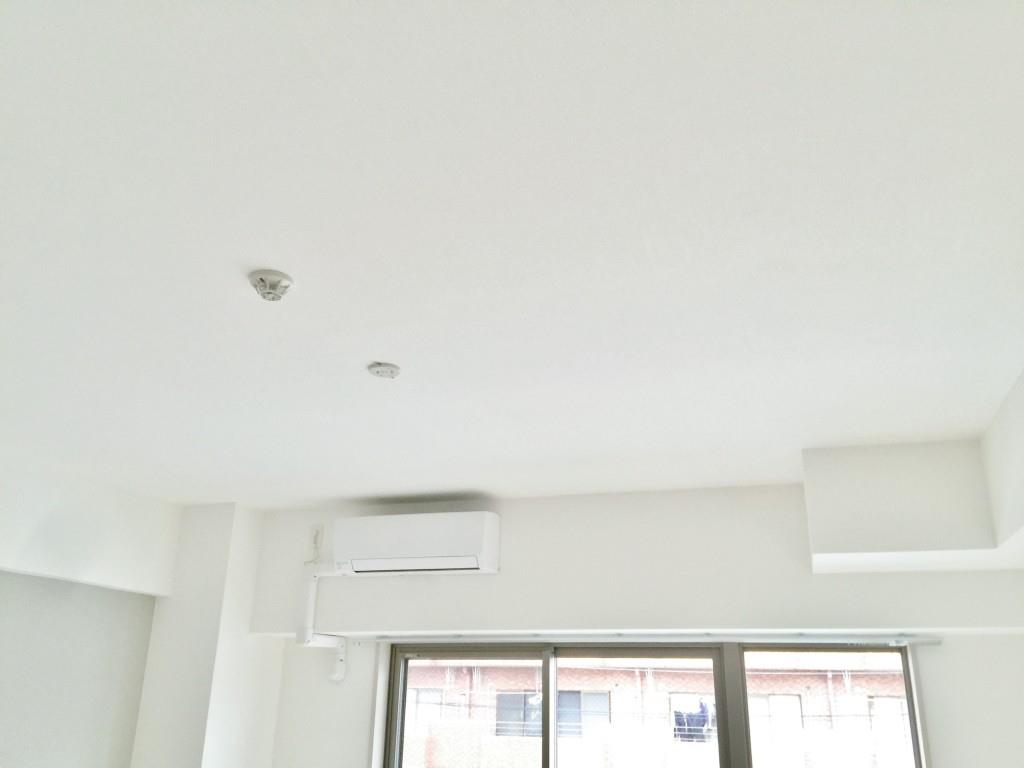 クアドリフォリエブルー その他13