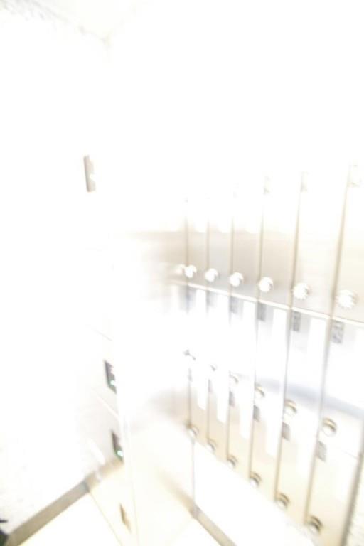 クアドリフォリエブルー その他21