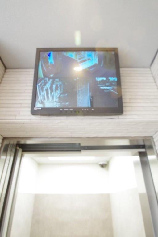 クアドリフォリエブルー その他24