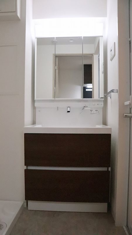 Cleyera　ROKA その他2