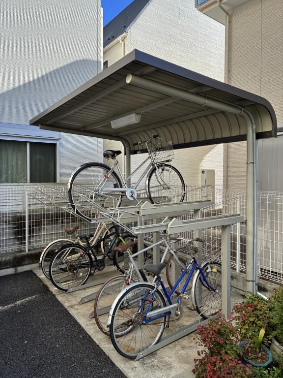 Cleyera　ROKA その他16