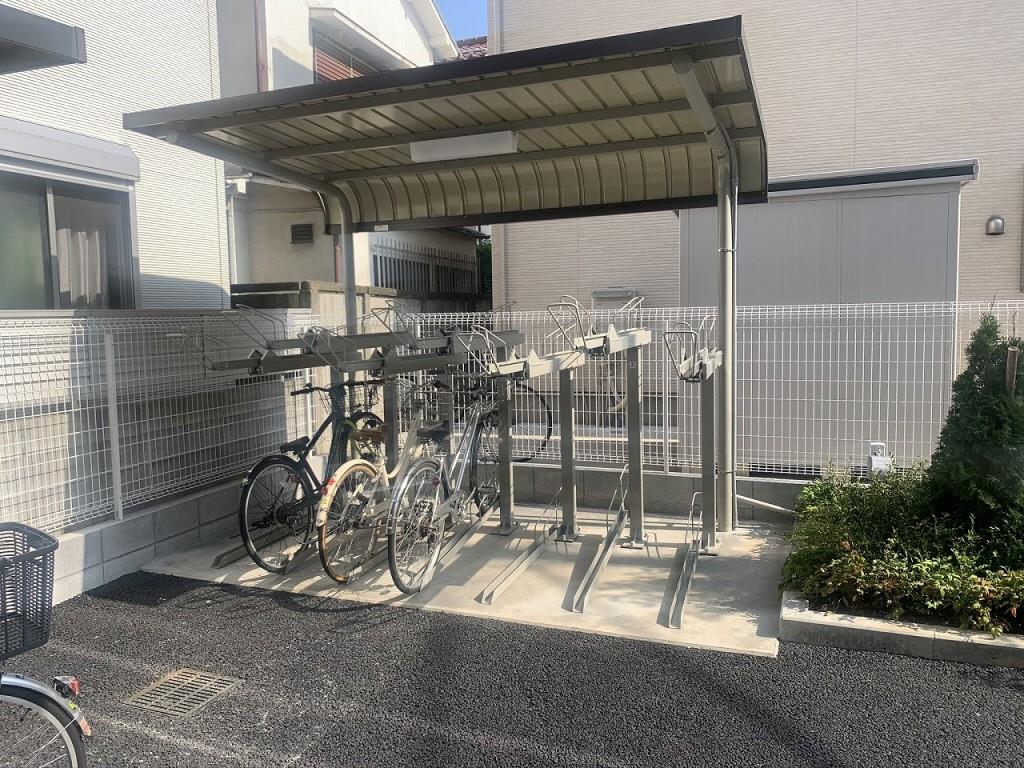 Cleyera　ROKA その他9