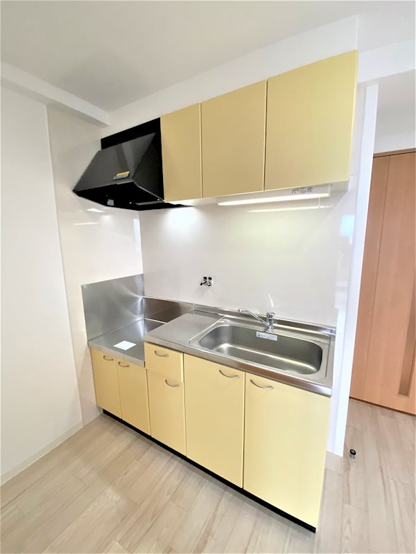 スプランドゥールヴィラ キッチン