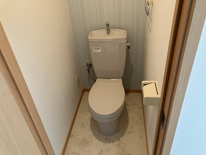 ドゥムール ストレチア その他2