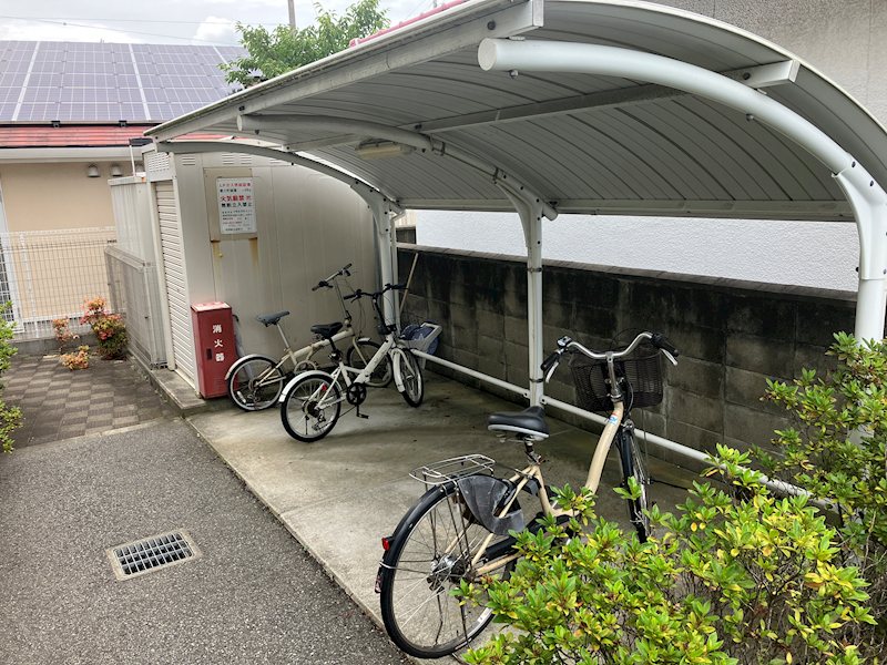 ドゥムール ストレチア その他外観2