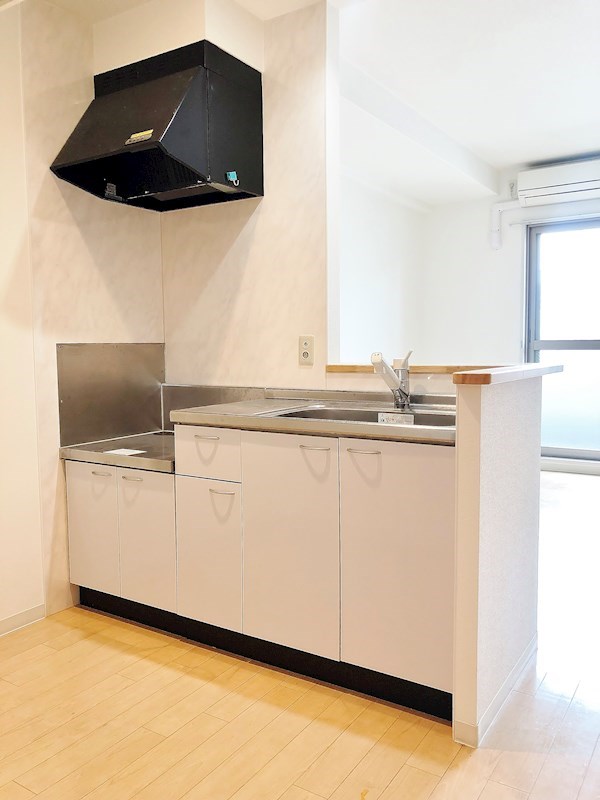 サクシード胤 キッチン