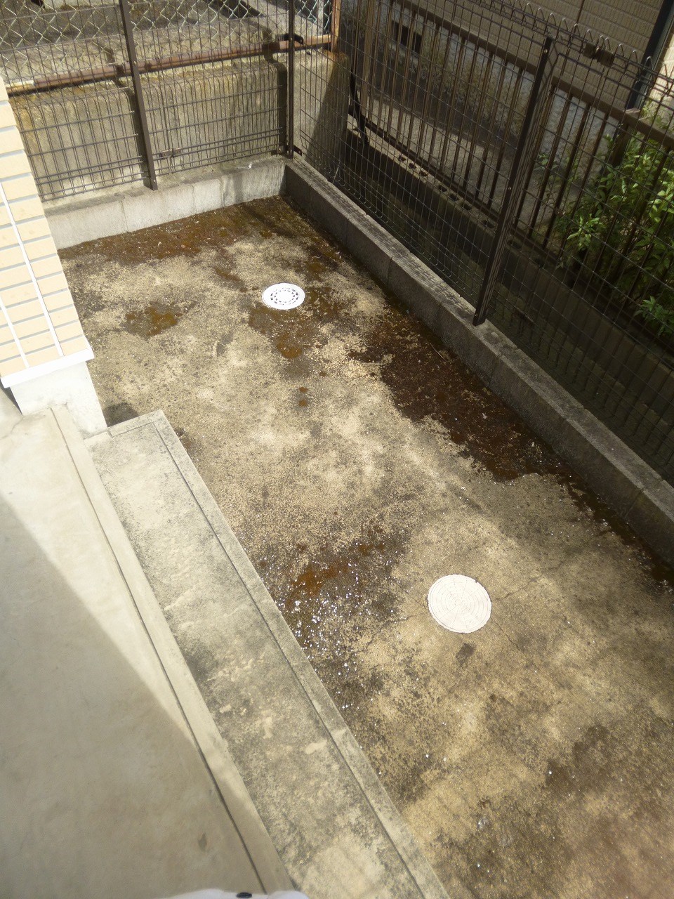 コンフォート三條 ベランダ