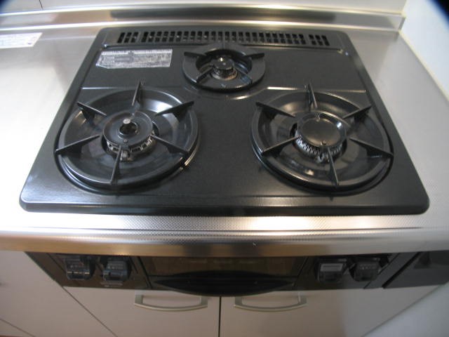 ヴィスタ マックス その他13