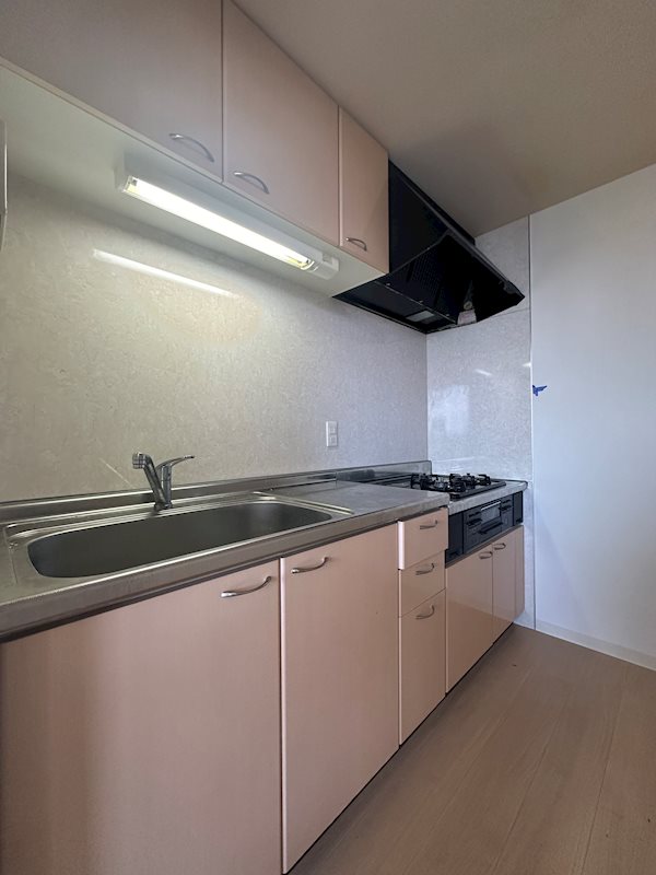 ヴィラ安堂寺Ⅱ キッチン