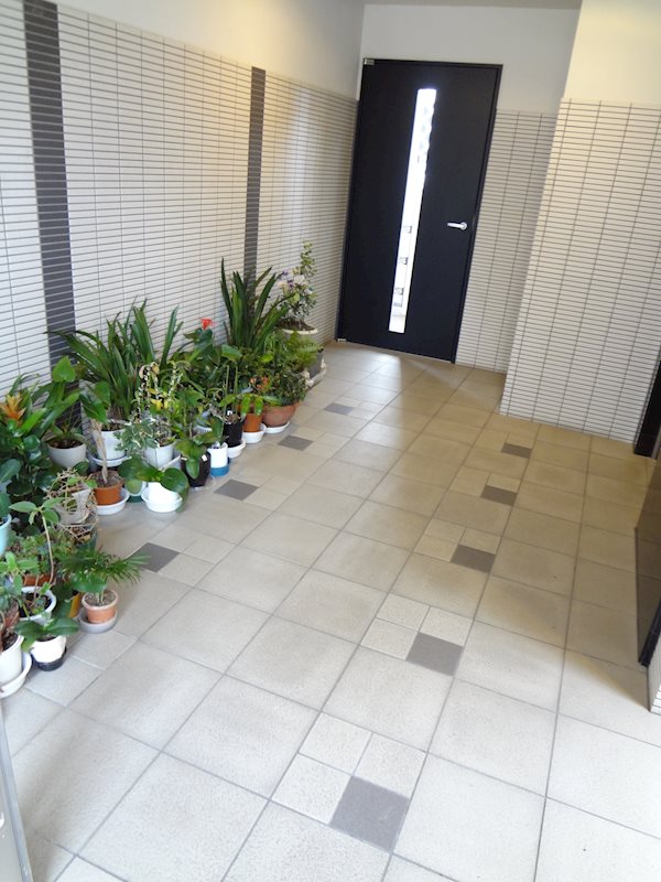 ﾙｰｾﾝﾄ菅原 その他外観3