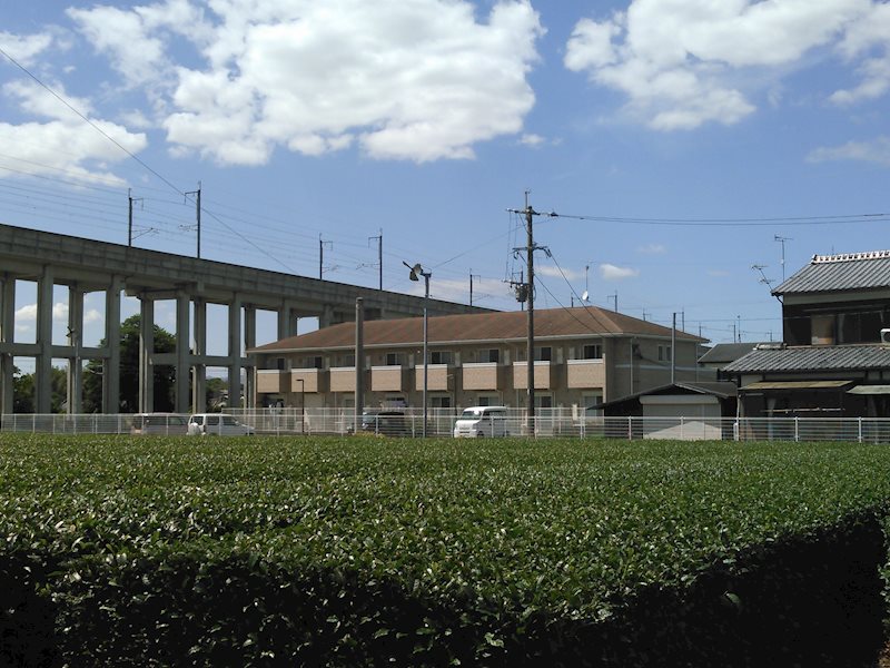 フローラ その他外観2