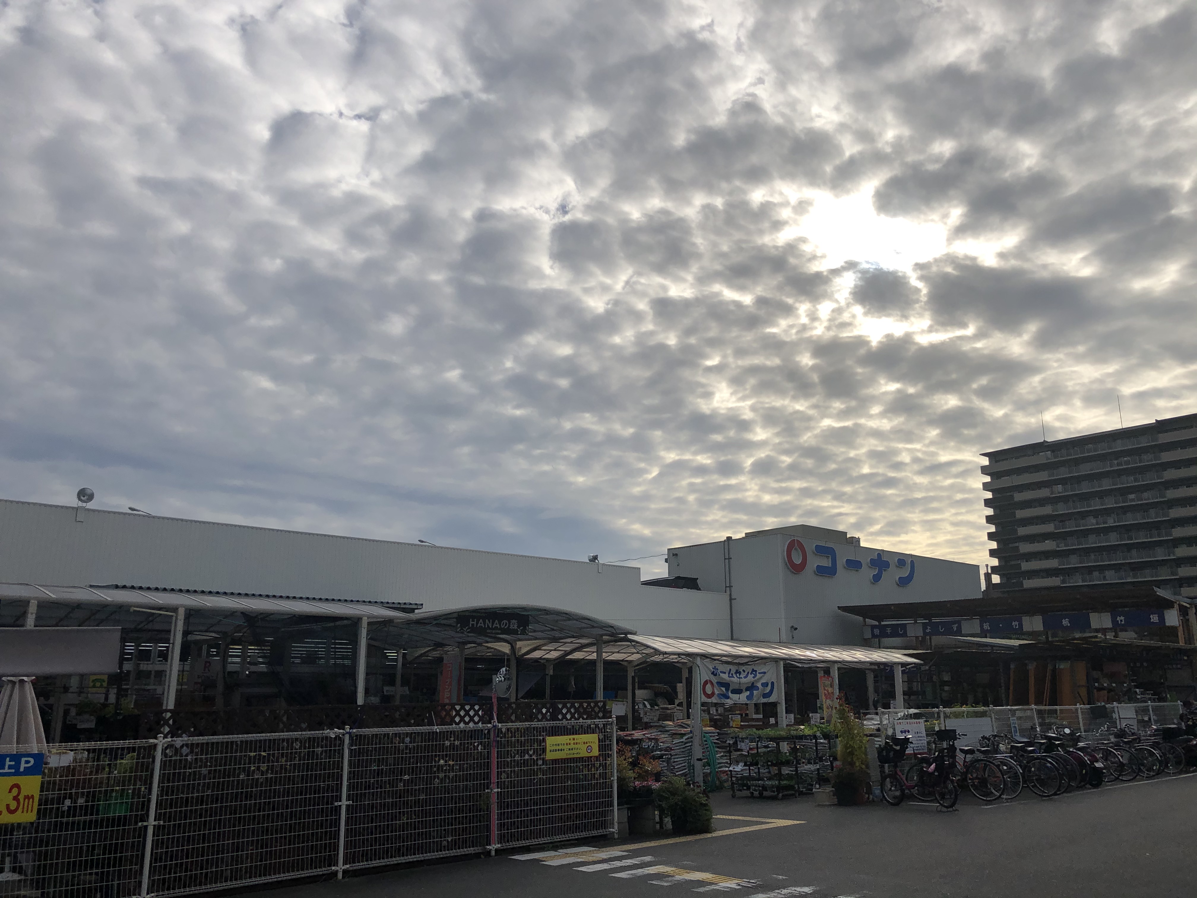 リバーサイド大津屋 周辺画像1