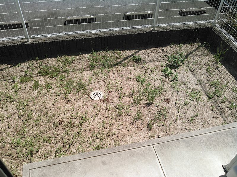 フローラ ベランダ