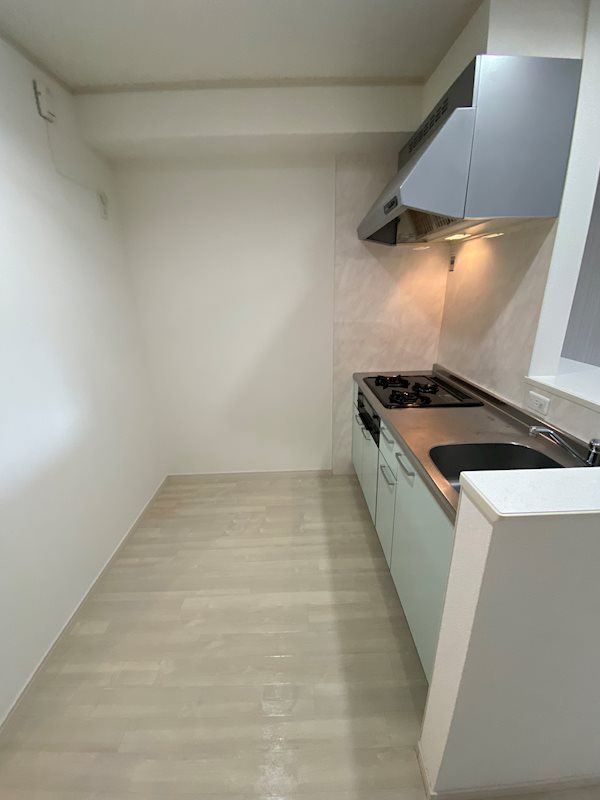 オプティマⅢ その他9