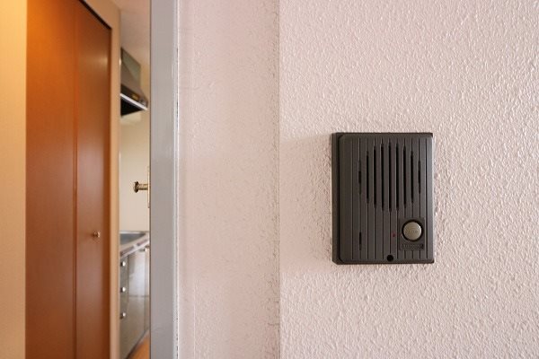 ピュア24 その他16