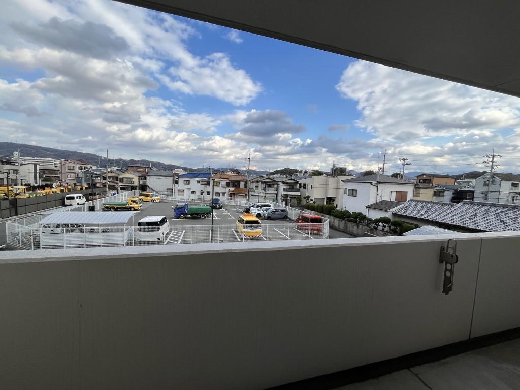 セレーナ その他8