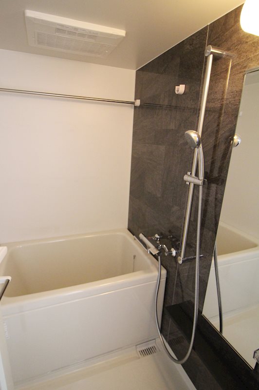 セイワパレス丸の内駅前プレミア 風呂画像