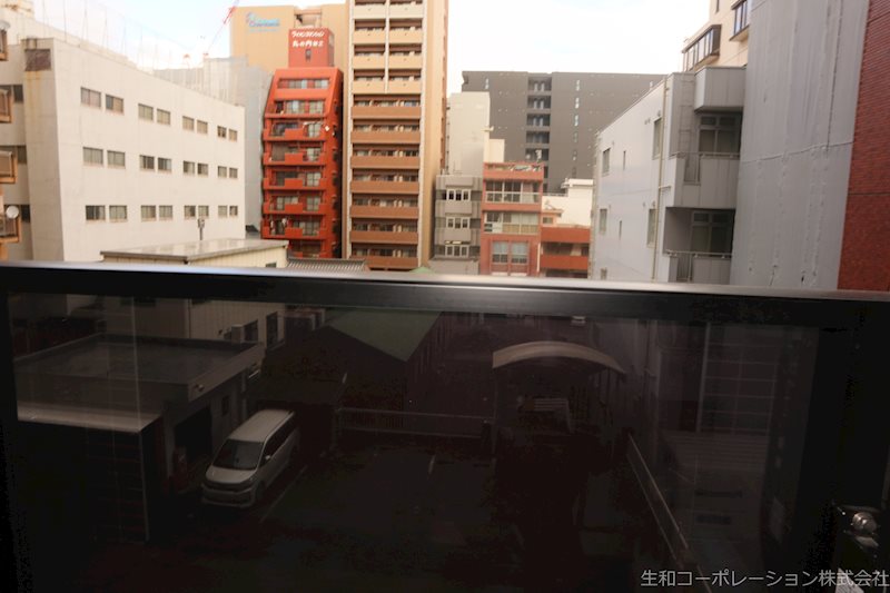 セイワパレス丸の内駅前プレミア 眺望