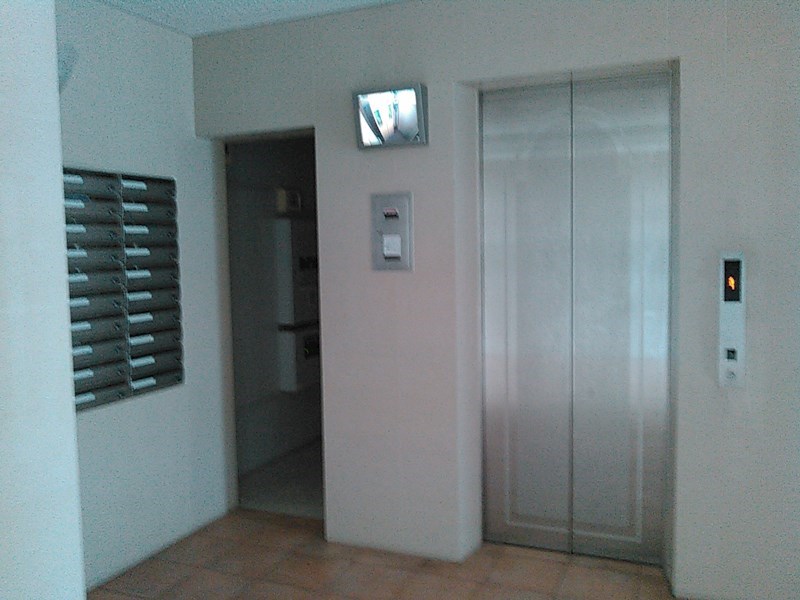 エバーフェニックス その他3