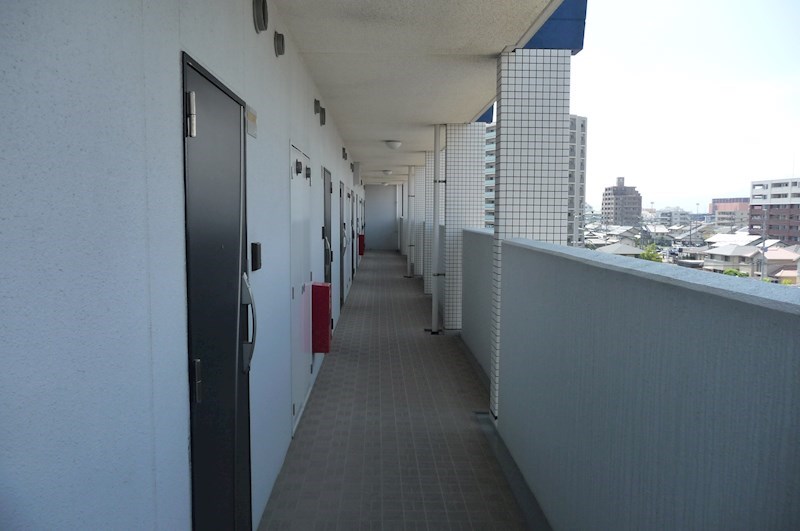 エバーフェニックス その他8