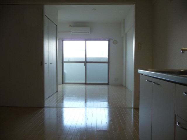 エバーフェニックス その他11