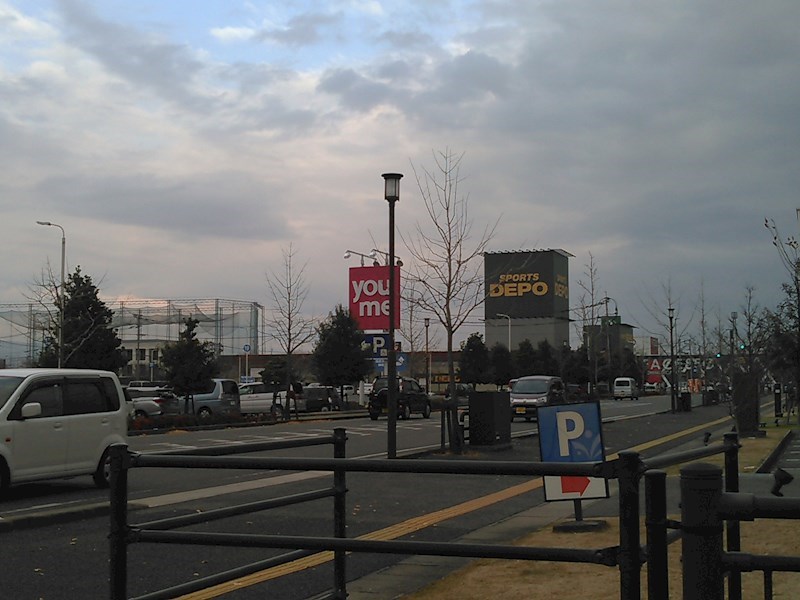 エバーフェニックス その他22