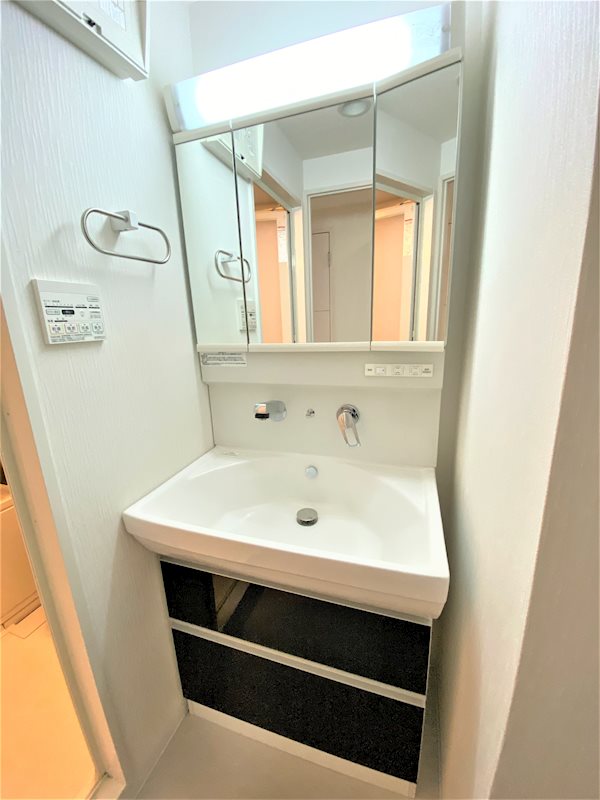 ブライジング その他1