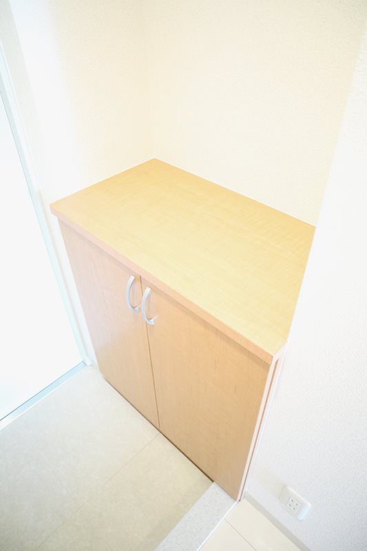 ラディスター その他1