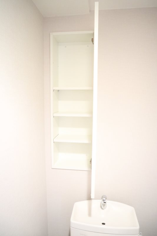 ラディスター その他11