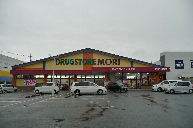 ラディスター 周辺画像6