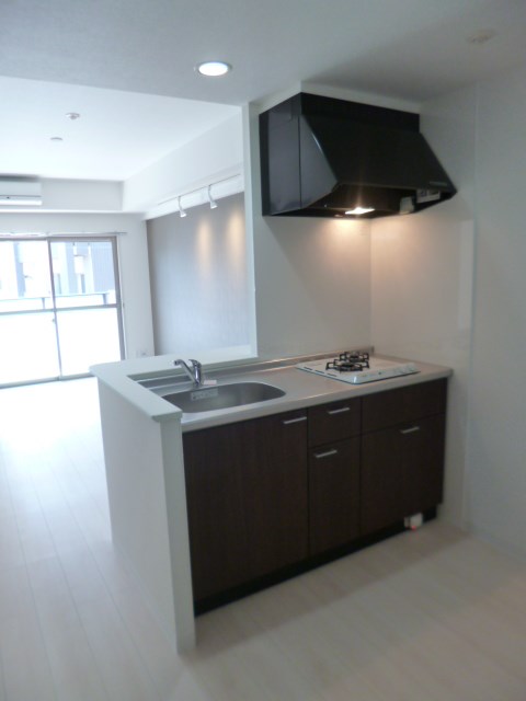 リオ ラクーコ キッチン