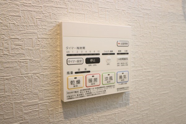 ブルーグラス その他15