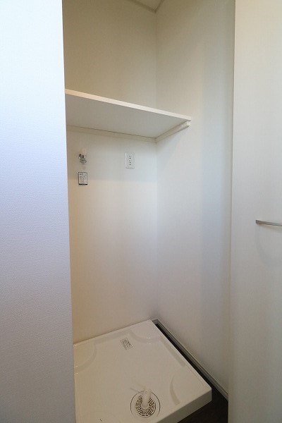ブルーグラス その他19