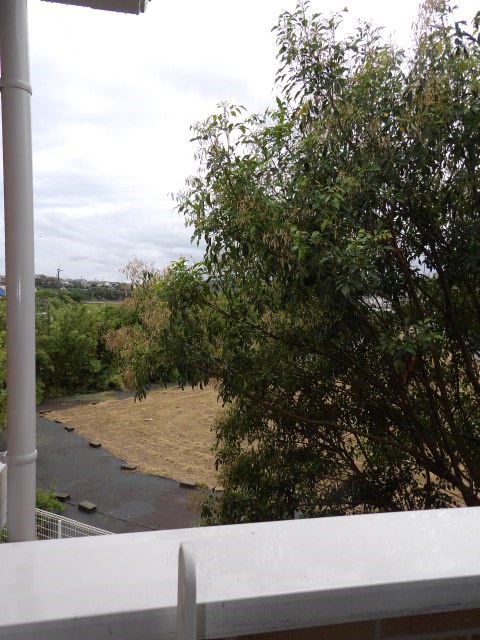 コンフォート下府 その他8