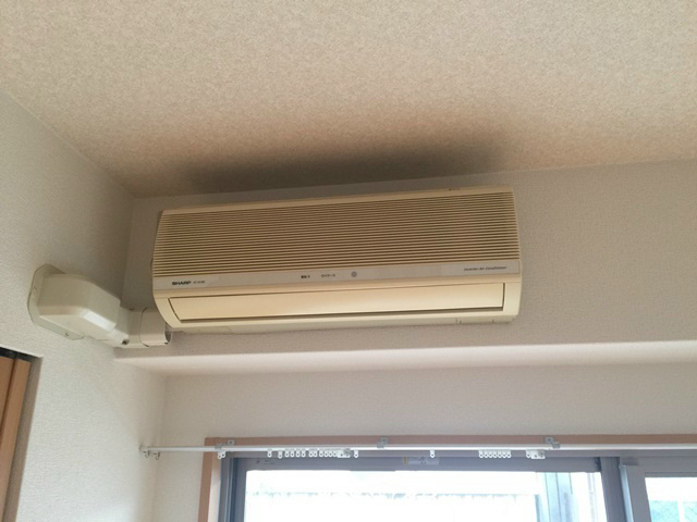 ベルナード・コンフォート その他8