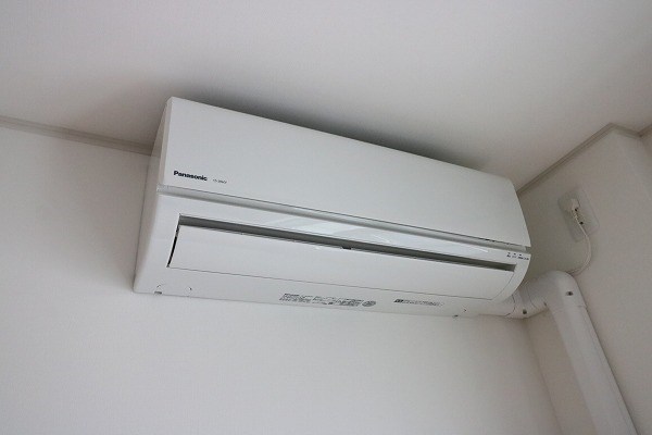 Blue grass（ブルーグラス） その他6