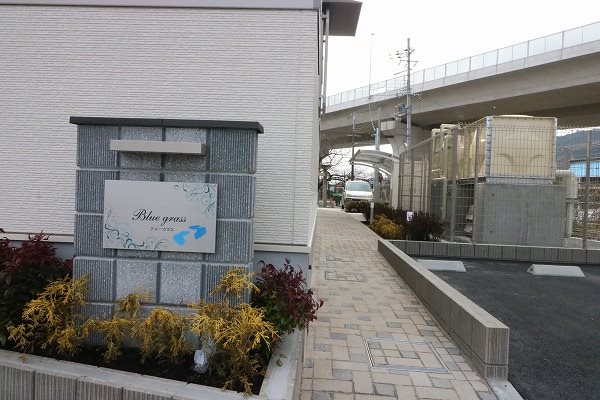 Blue grass（ブルーグラス） その他外観5