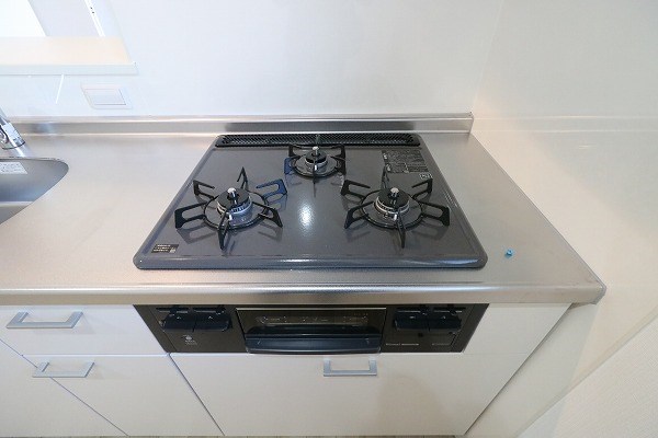 Blue grass（ブルーグラス） その他13