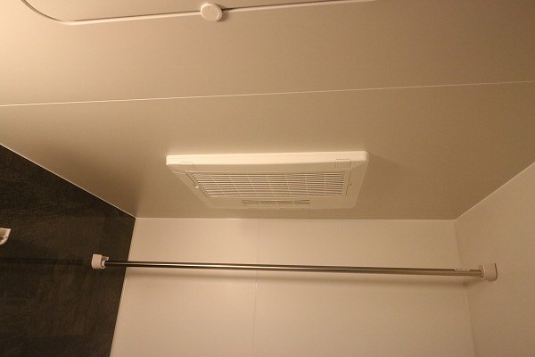 Blue grass（ブルーグラス） その他14