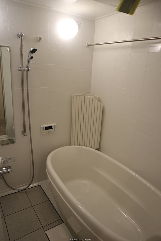 メゾニティ・クイーン阿波座 風呂画像