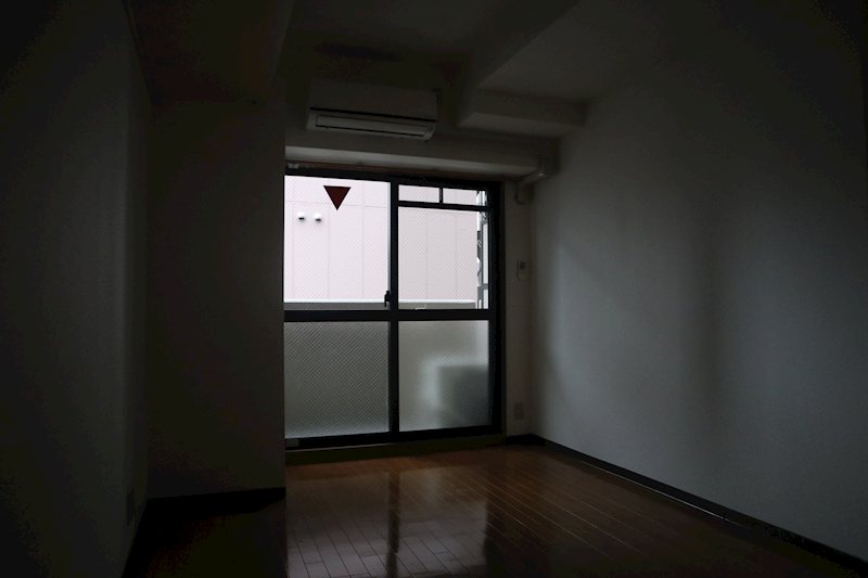 セイワパレス堂島シティ リビング